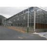 Buy cheap Venlo Type Toughened Glass Greenhouse Hot Galvanized Steel Skeleton Material from wholesalers