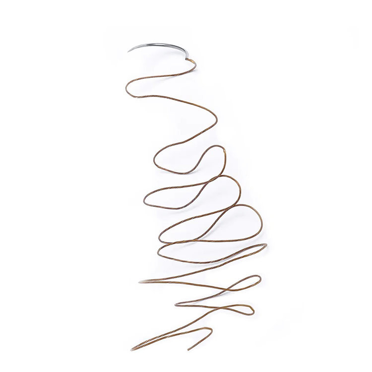 Sterile Absorbable Plain Chromic Catgut Nylon Polypropylene Monofilament Surgical Sutures With Needle