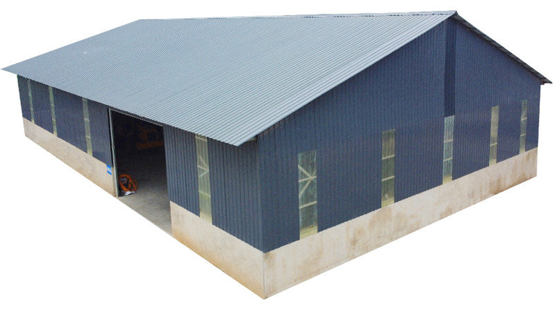 Standard Steel Structure Workshop