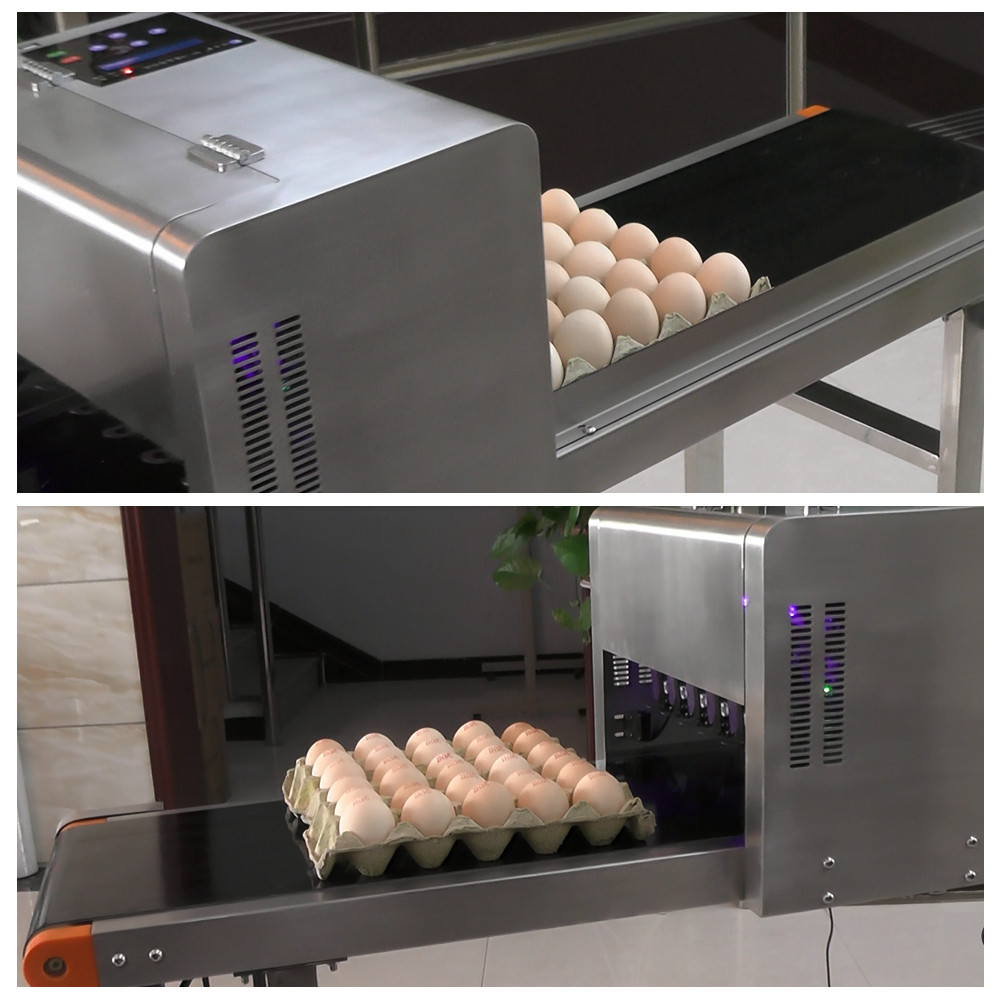 Touch Screen Egg Spraying Machine , Egg Printer Machine 6 Nozzles