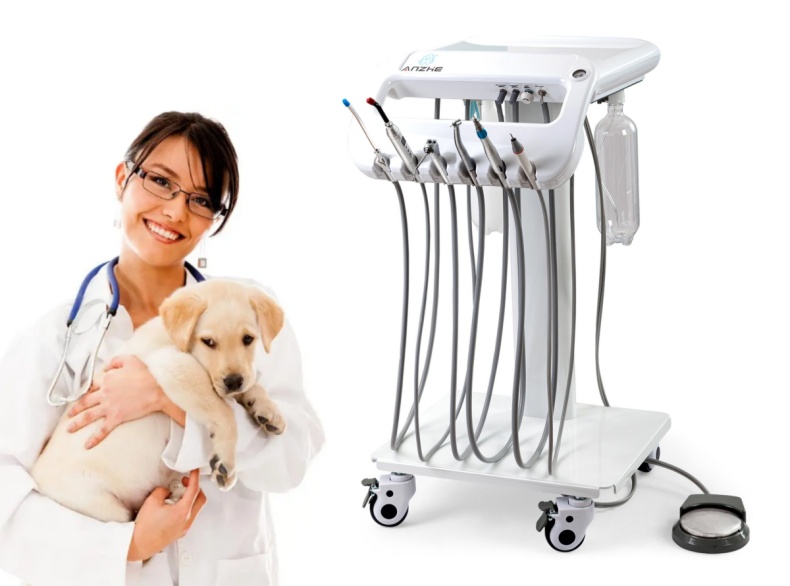1 Year Warranty Vet Dental Treatment Unit Unique Design Mobile Dental Therapy Machine