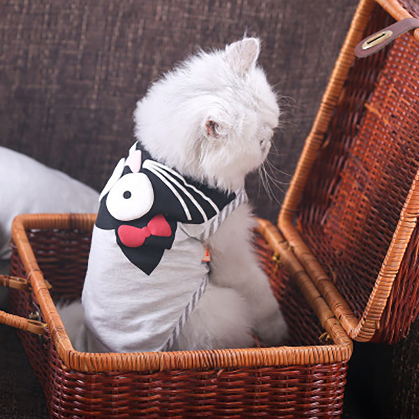 Comfortable Cats Wearing Clothes Professional Flexible Knitted Cloth Material