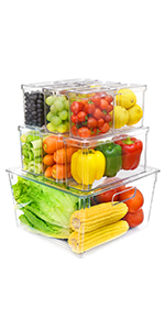 10 Pack Fridge Organizer