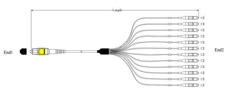 3 Meters OFNP 12F MPO MTP Cable OS2 Singlemode Breakout Cord