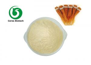 China Panax Ginseng Extract Powder With 5% 20% 80% Ginsenosides on sale