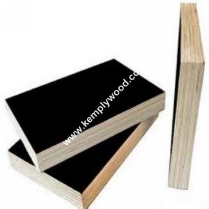 China Poplar core 18mm film faced plywood, black film faced plywood, black shuttering plywood on sale