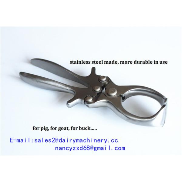 Stainless Steel Bloodless Castrator for Livestock Pig Castrating Forceps Quick and Effective