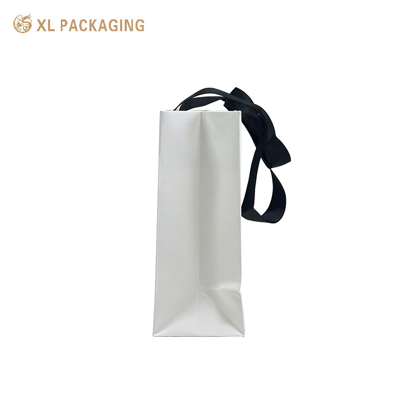 Customized Luxury Printing Paper Bag Gift Paper Packaging Paper Bag with the Custom Logo Cloth Package Shipping Bag