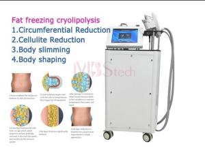 China 190mm 130mm Double Chin Cryo Cryolipolysis Slimming Machine on sale