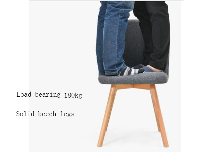 Matte Plastic Eames Dining Chair