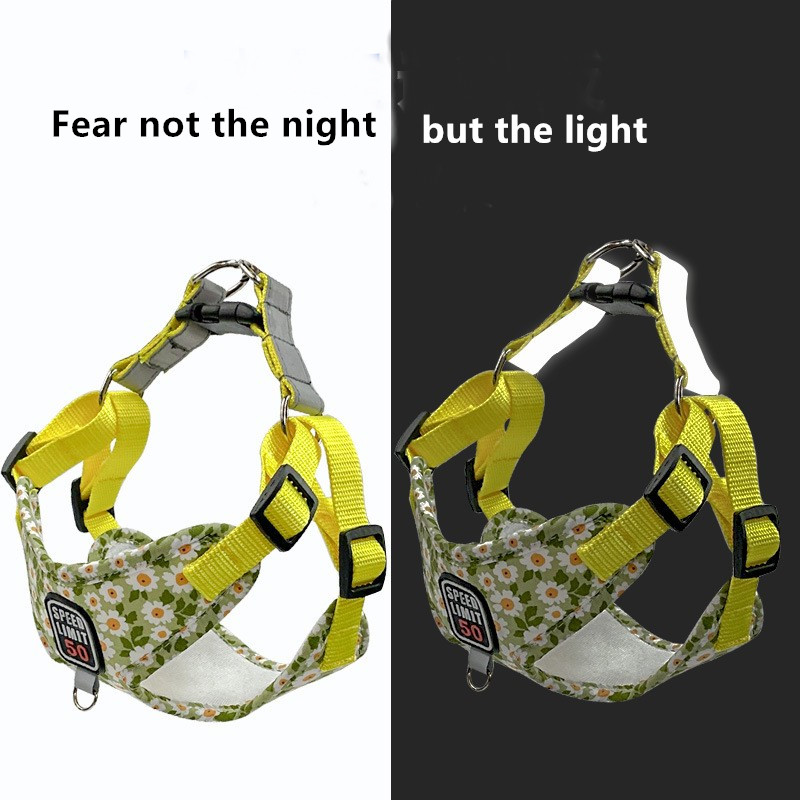 best no pull dog leash