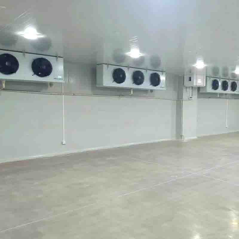 Industrial PU Freezer Cold Room , Air Cooler Walk In Freezer Condensing Unit