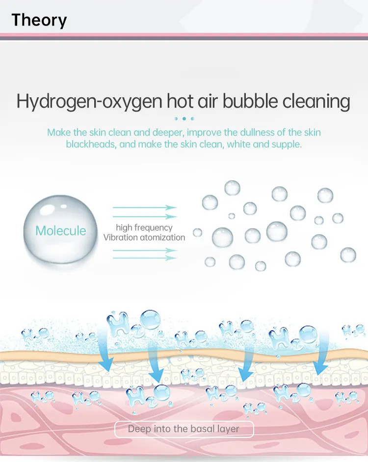 6 In 1 Hydra Beauty Machine Hydrodermabrasion Facial Cleaning Salon Equipment