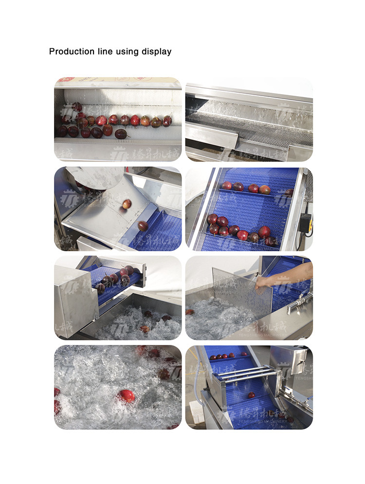 SS Fruit And Vegetable Hair Roller Bubble Cleaning Machine 800KG/H