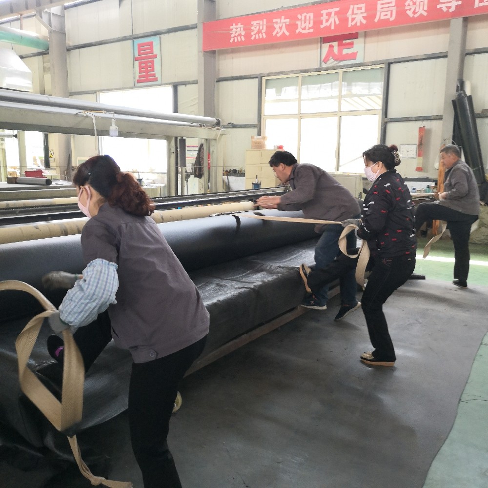 Landfills Made Eco-Friendly HDPE Geomembrane for Fish Shrimp Farms and Swimming Pools