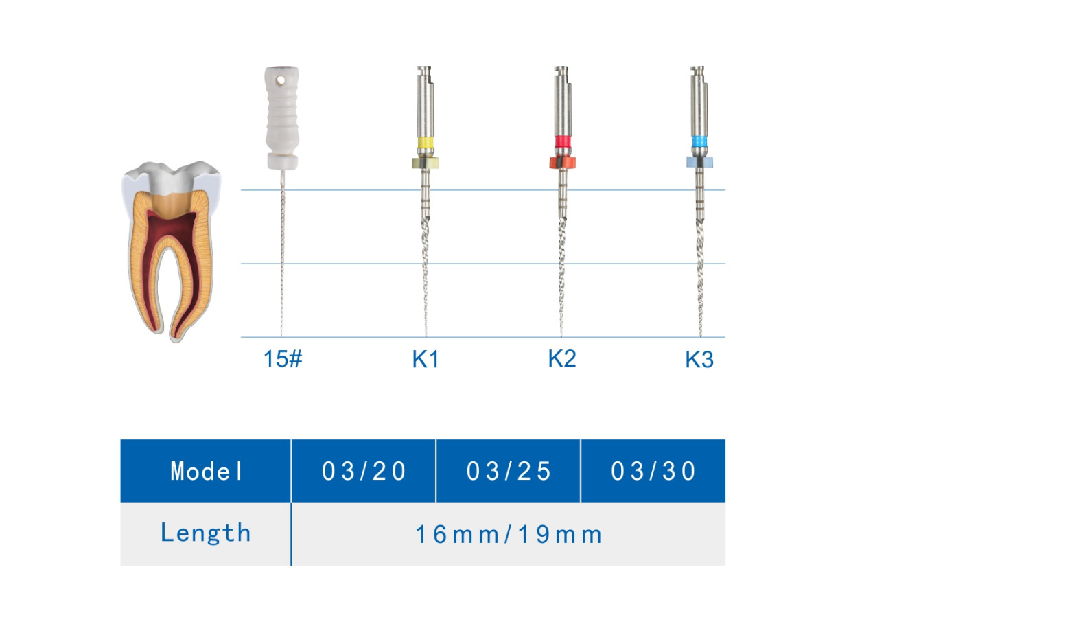 Endo 300rpm 19mm Heat Treated Niti Files For Root Canal Treatment