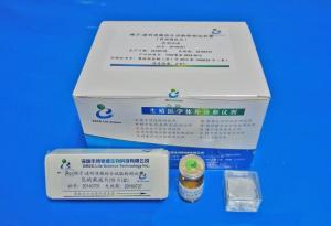China Sperm Hyaluronan Binding Assay Kit Diagnostic Tool Male Fertility Test Kit on sale
