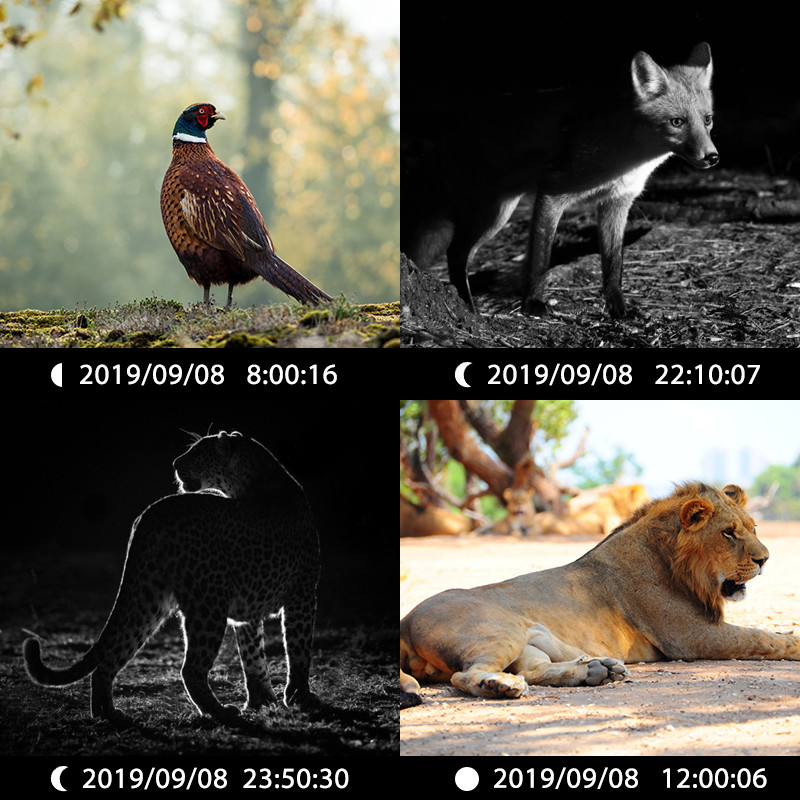 Hot sale Dual lens Nigh version trail camera 30MP, 1080P High resolution 940nm No glow Waterproof IP65
