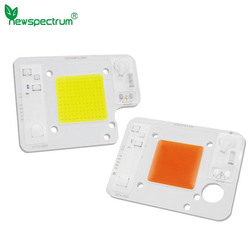 Cold White Led Cob 50w Reliable Consistent Flip Chip Cob Led