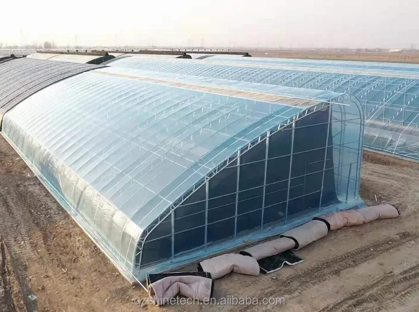 Easy Assembled Solar Greenhouse for Cold Winter Climates PE Material and PE Material