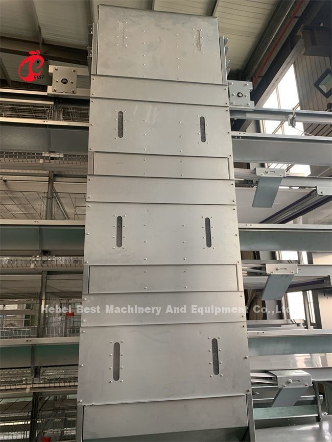Full Automatic Feeding Poultry Farms Chicken Cages A And H Type Rose