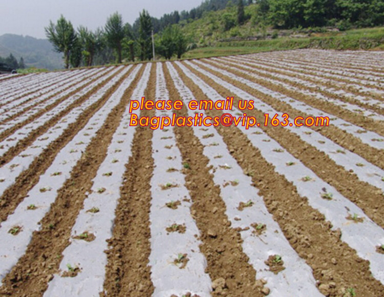 100% new HDPE insect mesh / anti bird net for apple trees,greenhouse anti insect net for plant, agriculture net Anti-ins