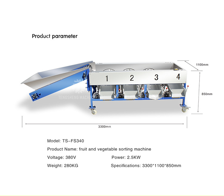 280KG Fruit sorting size picking machine stainless steel material specifications can be determined for sorting potatoes