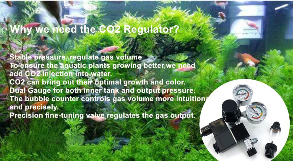 Fish Tank CO2 Regulator with Check Valve Dual Gauge Display CGA320 Thread Solenoid 110V