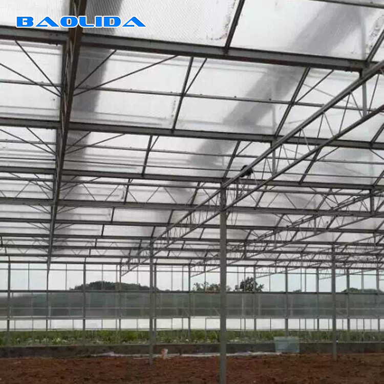 Multi Span Frame Plastic Film Greenhouse For Vegetable Agricultural Animal