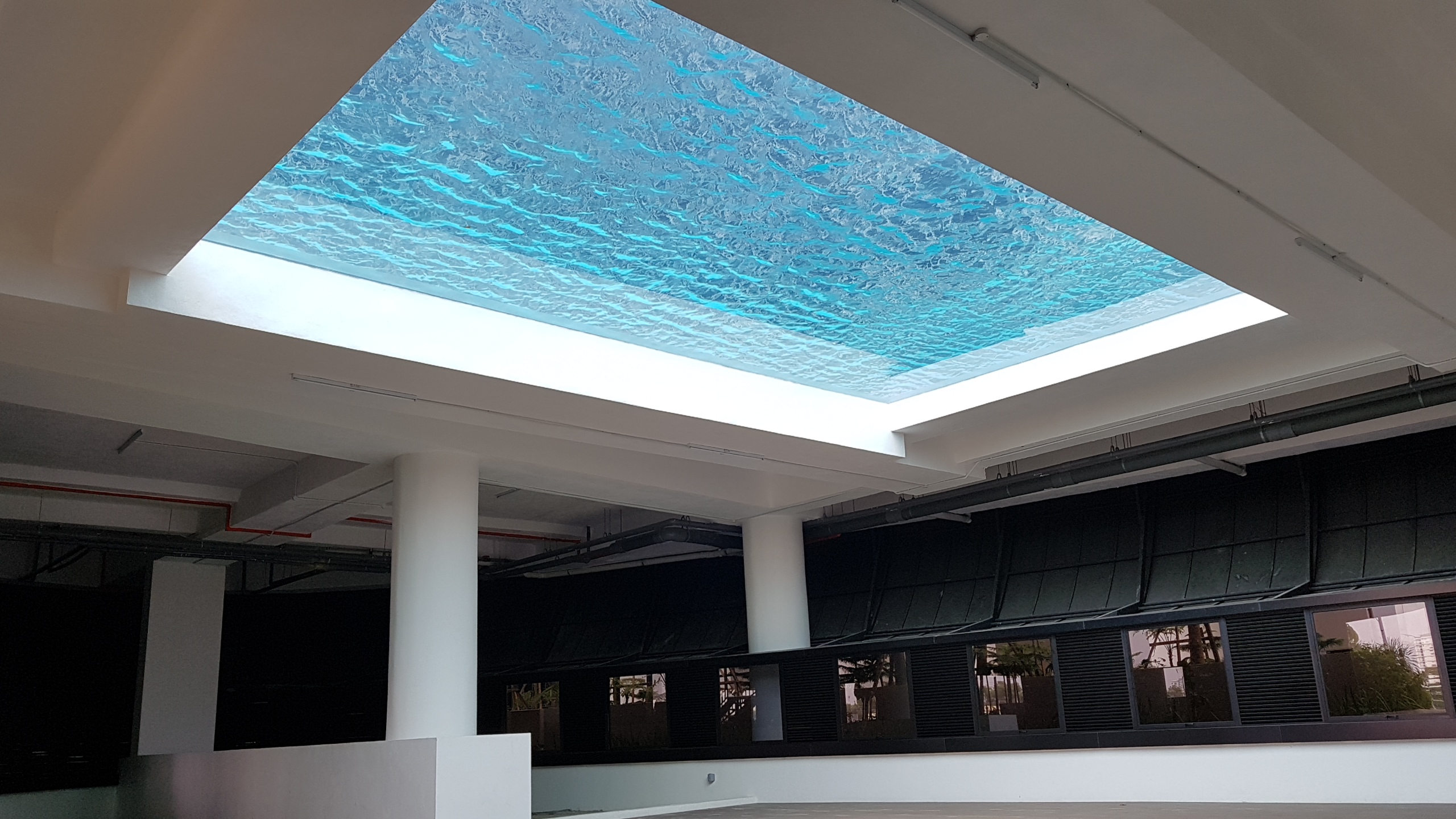 Swimming Shipping Above Ground Frp Pools with Clear Acrylic Window and Customizable Design