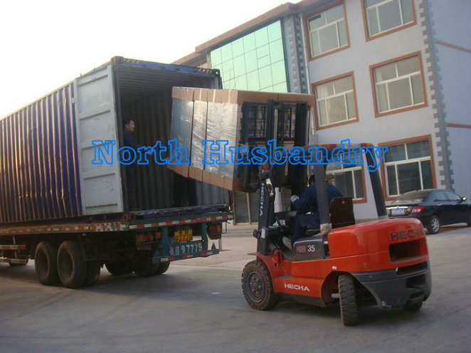 Oman Best Swung drop hammer exhaust fan cheap poultry fan
