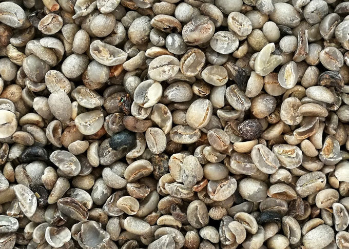 Hons Brand Model S4 Robusta Coffee Beans Color Sorter With RGB Full Color Camera