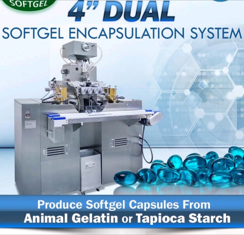Stainless Steel Softgel Encapsulation Machine For Oval Oblong Shape Fish Oil / Vitamin Capsule