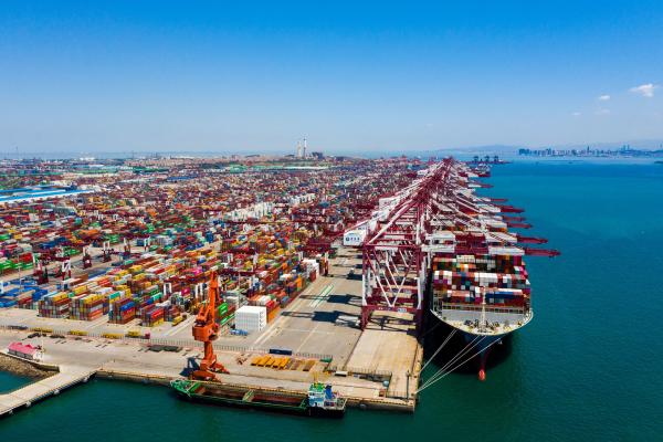 International Door To Door FCL Sea Freight Carriers Ocean From Ningbo China To