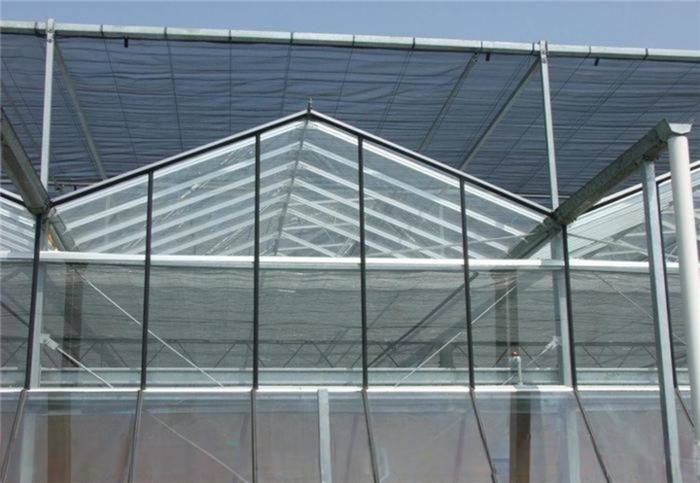 Large Agricultural Greenhouse with Galvanized Steel Frame and Optional Cooling System