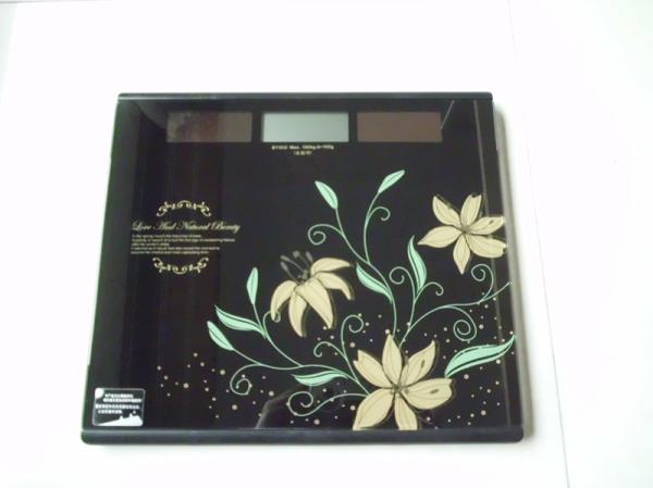 backlight display 6mm tempered glass Travel Weighing Scales