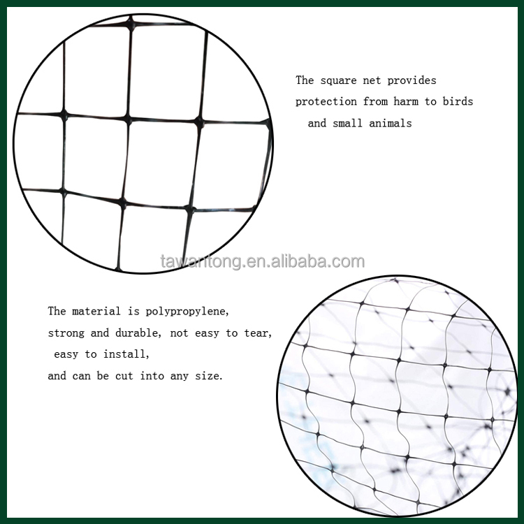 Max 4m Width Customized Length 13GSM Bop Stretched PP Net for Garden Bird Protection
