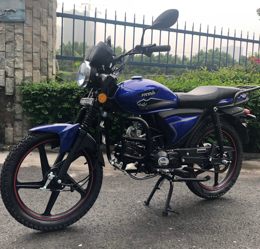 Fashionable Street Legal Electric Motorcycle 70cc High Performance