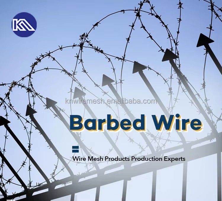 High Tensile Strength Security Barbed Wire Farm Grassland Enclosure