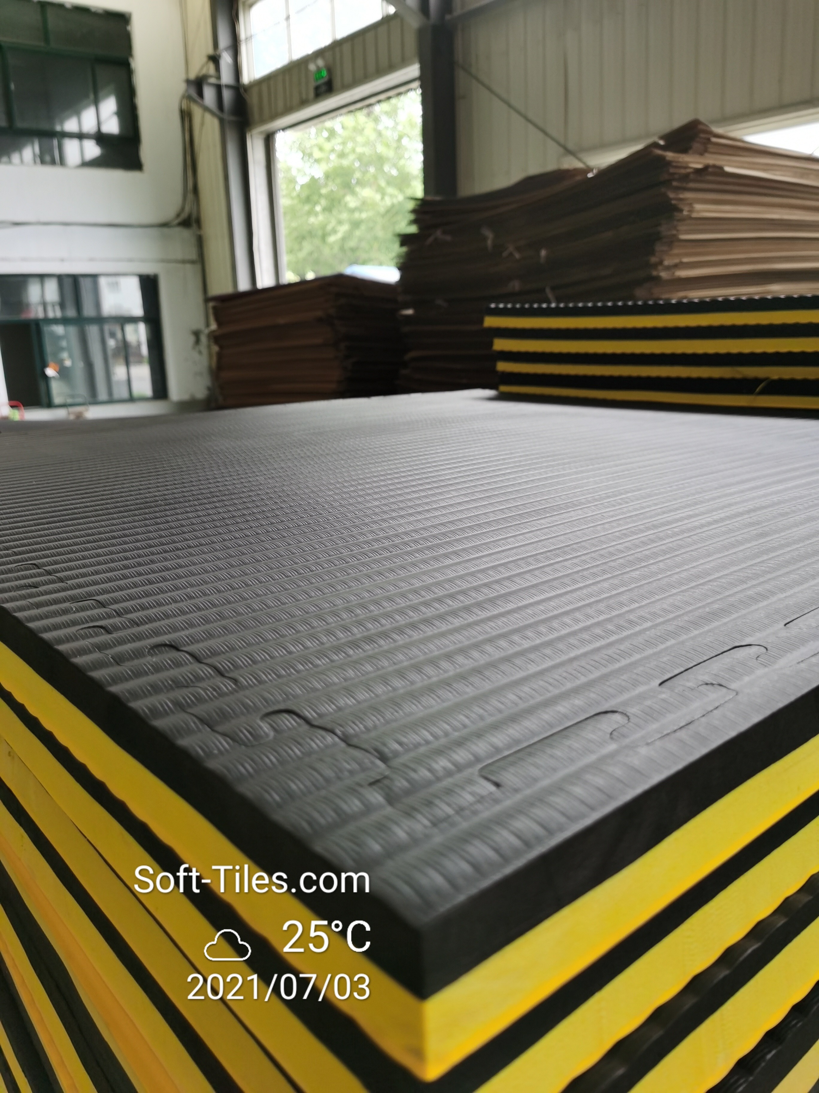 Puzzle EVA Gym Foam Mat Tatami for Taekwondo Judo Tatami Martial Arts