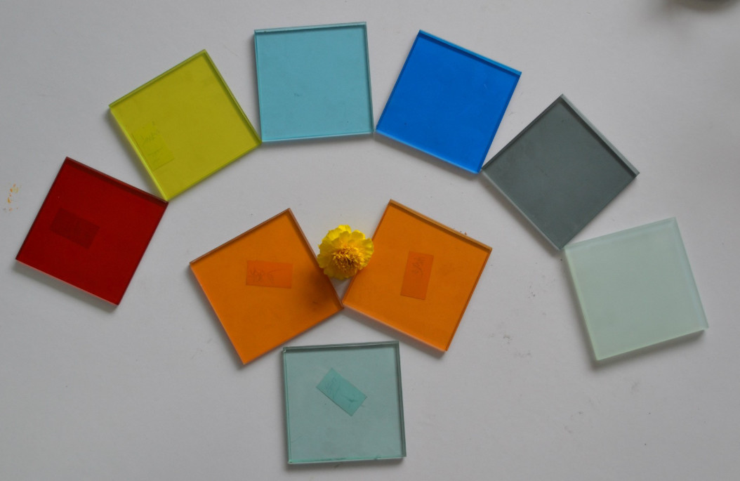 4mm 5mm Tinted Tempered Glass Toughened Glass For Window Construction And Building