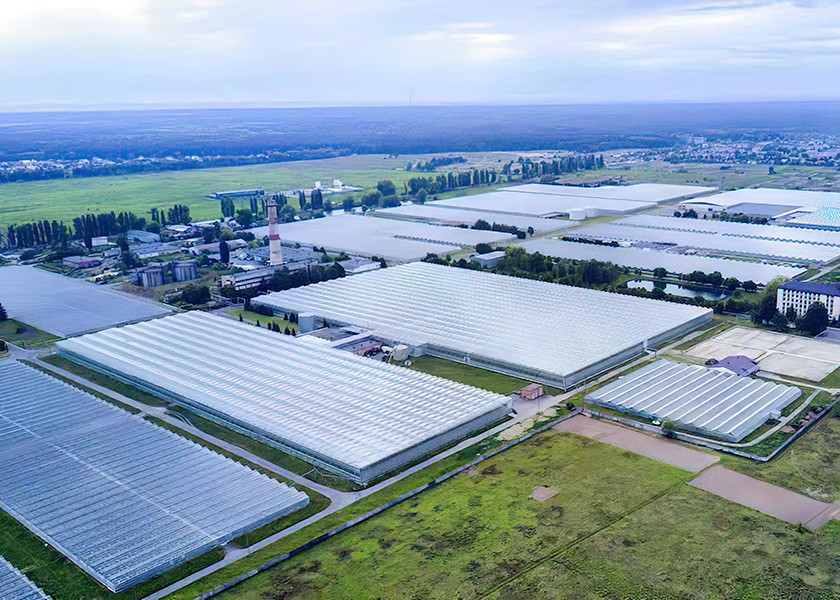 Weldless Multi Span Greenhouse Galvanized Frame For Bountiful Flower