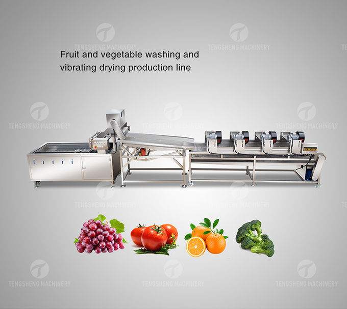 4.5KW Fruit And Vegetable Processing Line Vibration Draining Equipment