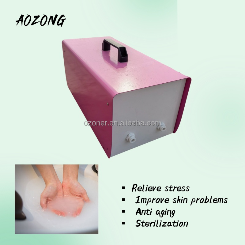 Deep Cleaning Function 160L/h Micro Nano Bubble Generator with OZONE Operation System