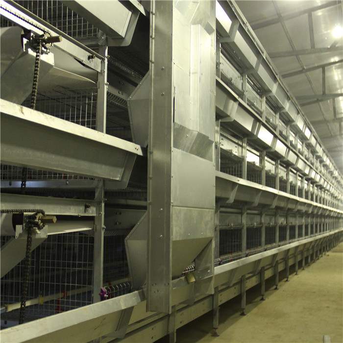 H Type Low Death Rate Baby Chick Cage 4 Tiers For Large Scale Farm 300CM² Area