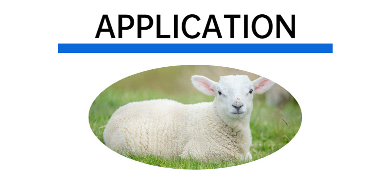 Certified Sheep Management Tags Durable TPU Ear Tags for Livestock Identification