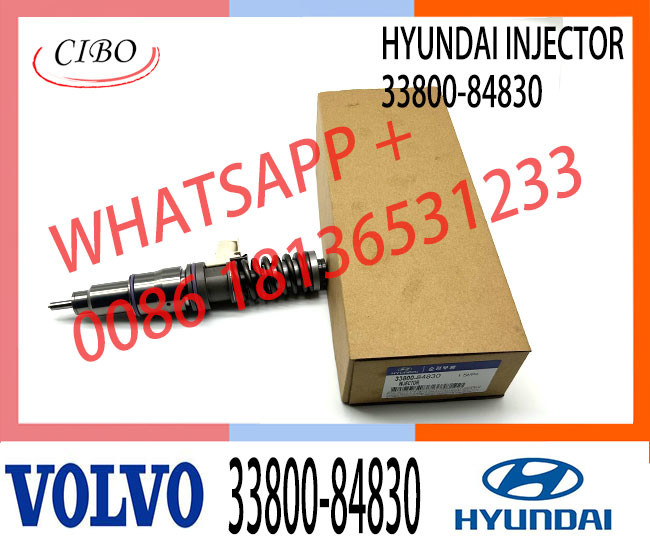 Diesel Injector Valve And Nozzle Fuel Injector 33800-84830 For VOL HYUNDAI