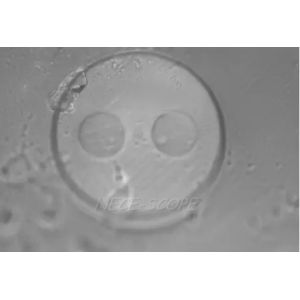 Professional Optical Fiber Custom Microscope System NC-MOF06 Pigtail