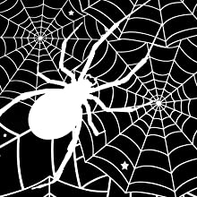 Spider Web print