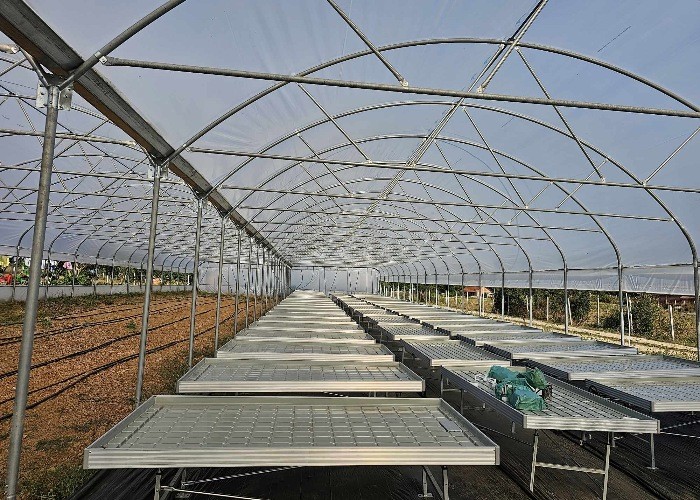 5x13 Feet Ebb Seedbed With Trellis Hanging Net Light For Medical Plants Rolling Greenhouse Benches